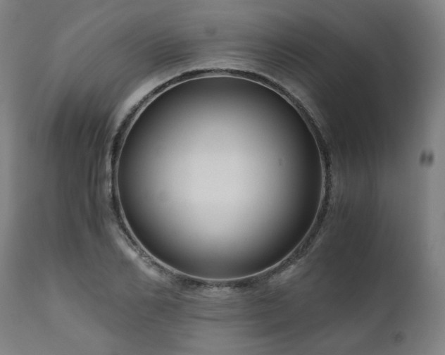 X0000111030982200906251301