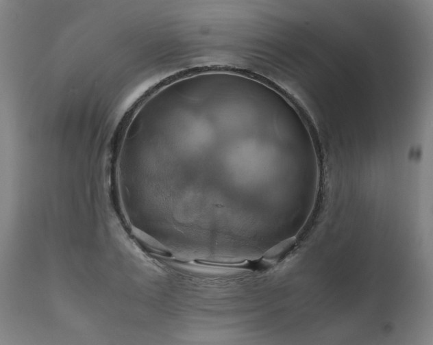 X0000111030983200906251301
