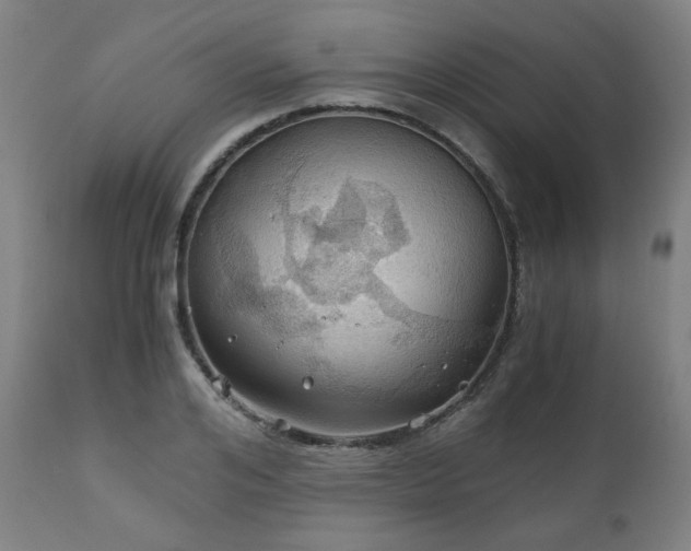 X0000111030984200906251301