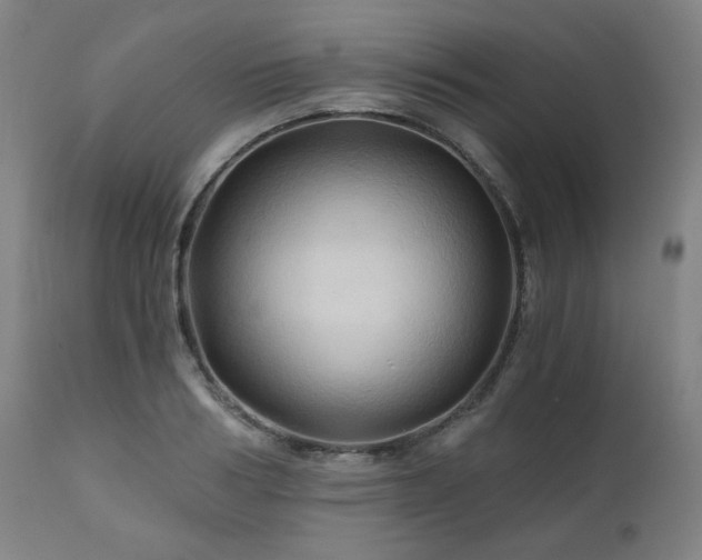 X0000111030986200906251301