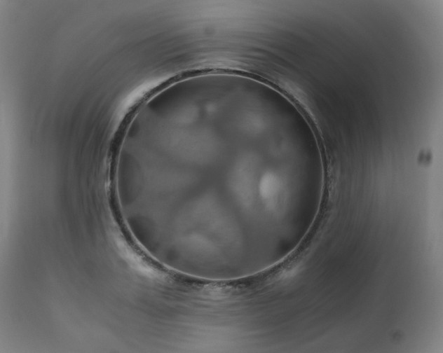 X0000111030987200906251301