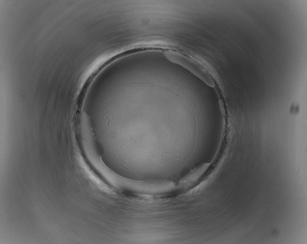 X0000111030989200906251301