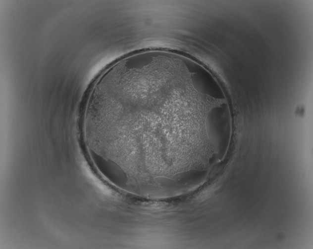 X0000111030991200906251301