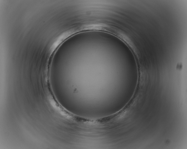 X0000111030994200906251301
