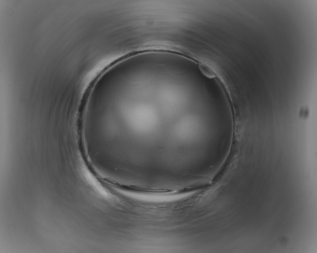 X0000111030995200906251301