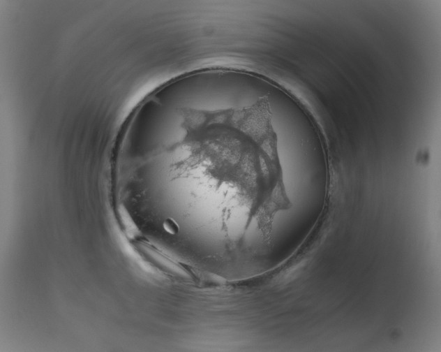 X0000111030999200906251301