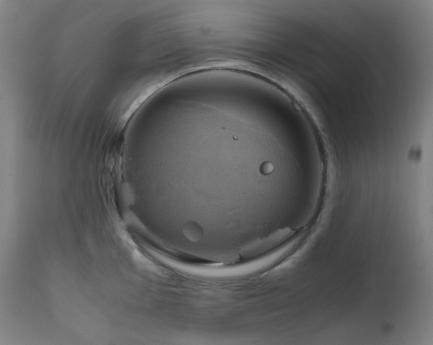 X0000111031001200906251301