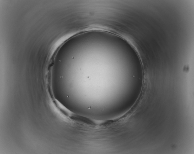 X0000111031003200906251301