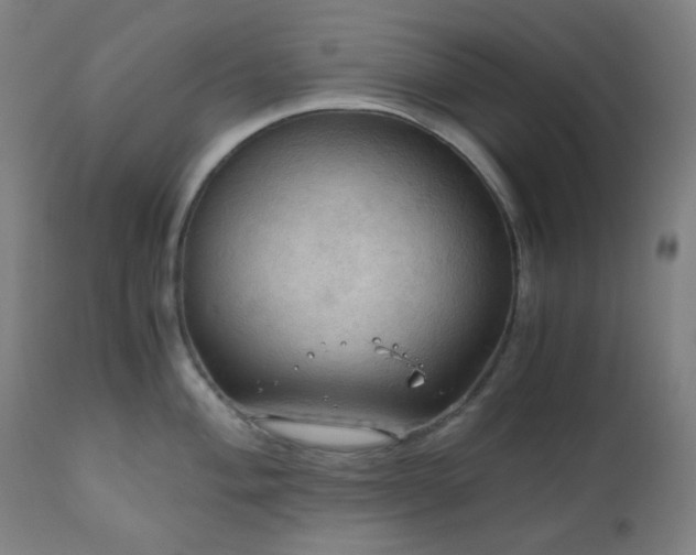 X0000111031004200906251301