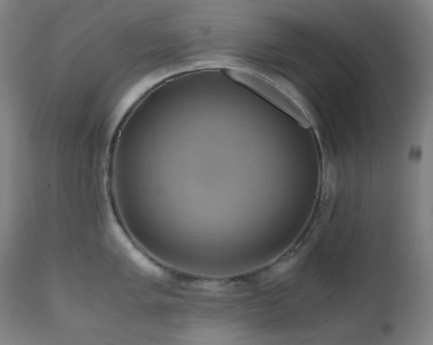 X0000111031005200906251301