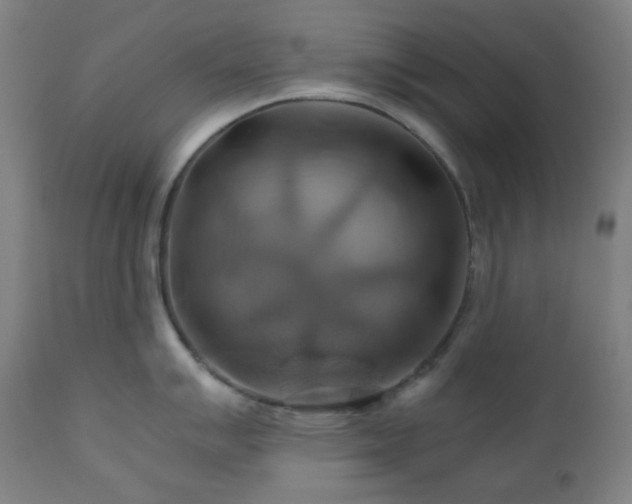 X0000111031007200906251301