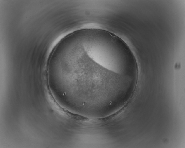 X0000111031008200906251300