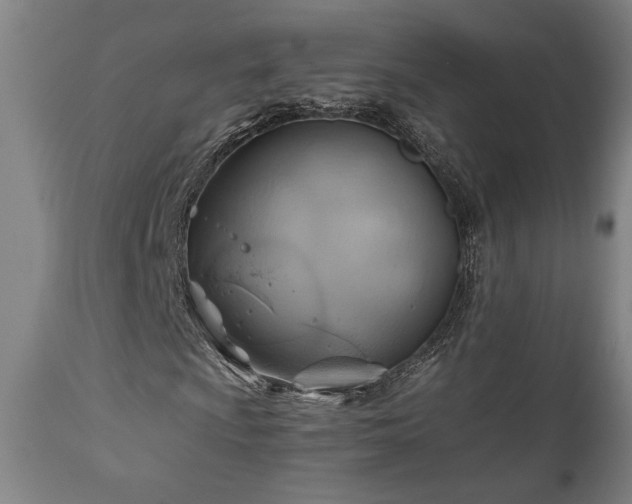 X0000111031009200906251300