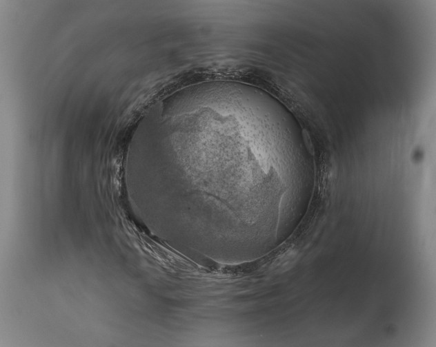 X0000111031010200906251300