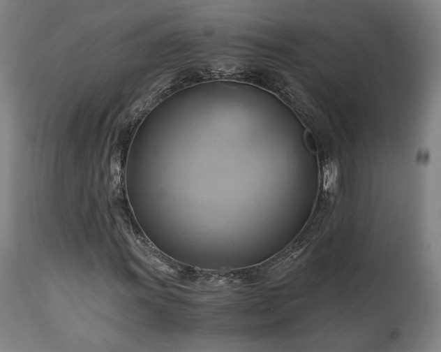 X0000111031011200906251300