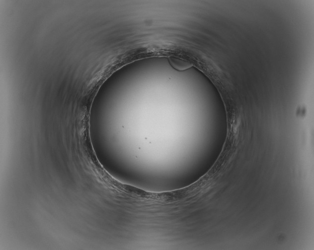 X0000111031012200906251300