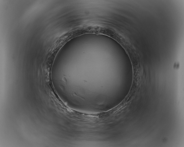 X0000111031013200906251300
