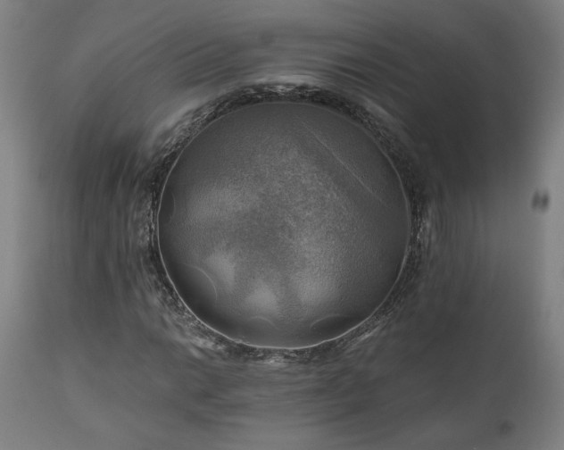 X0000111031014200906251300