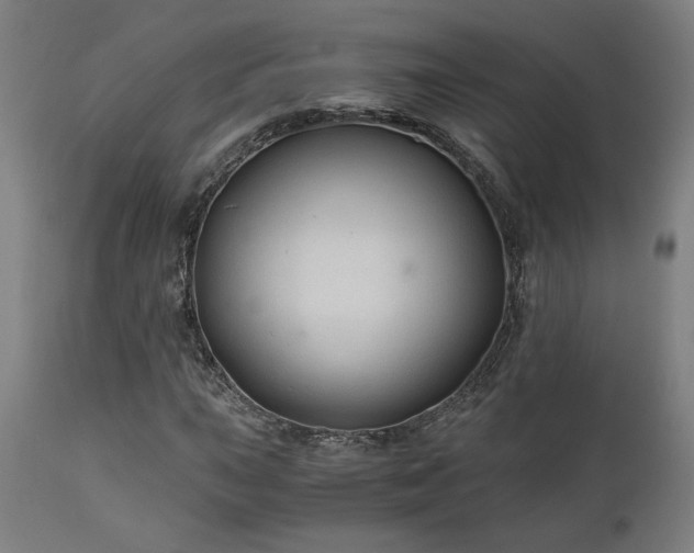 X0000111031015200906251300