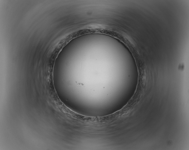 X0000111031016200906251300