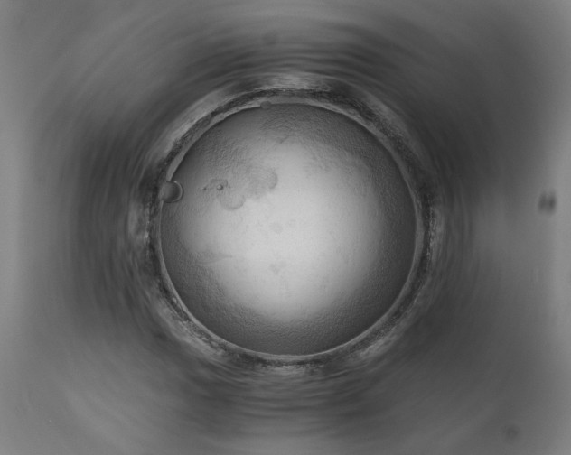 X0000111031017200906251300