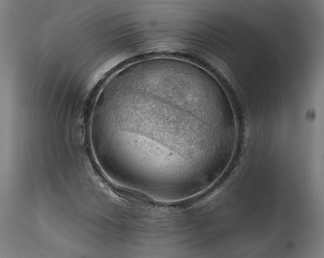 X0000111031018200906251300