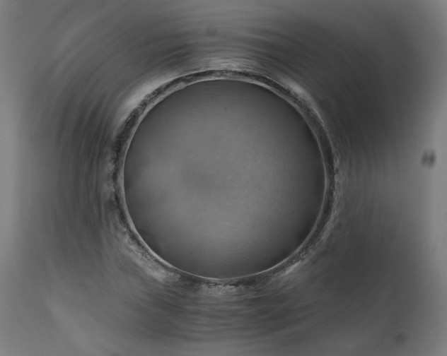X0000111031019200906251300