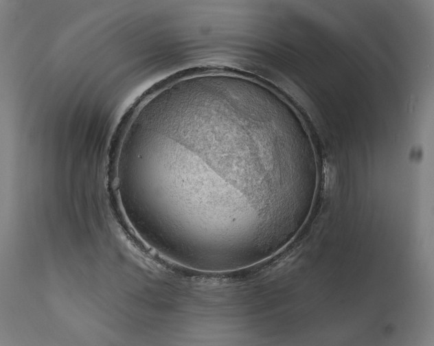 X0000111031020200906251300