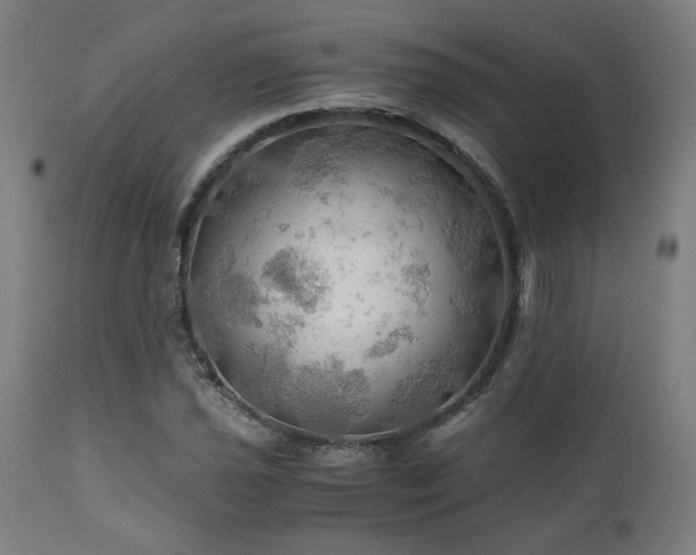 X0000111031021200906251300