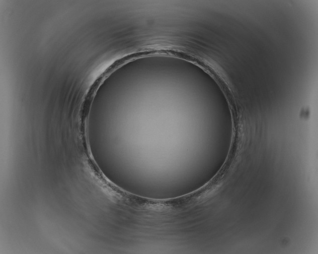 X0000111031023200906251300