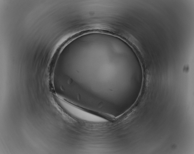 X0000111031024200906251300