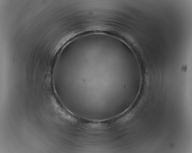 X0000111031025200906251300