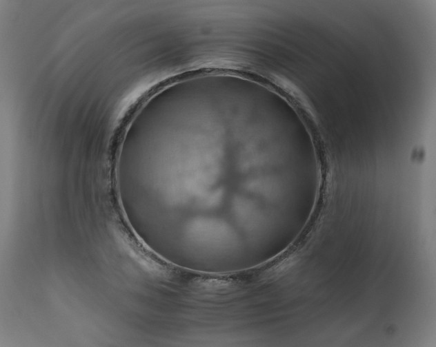 X0000111031027200906251300