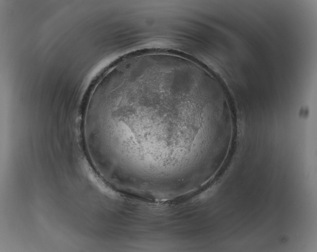 X0000111031029200906251300