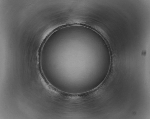X0000111031031200906251300