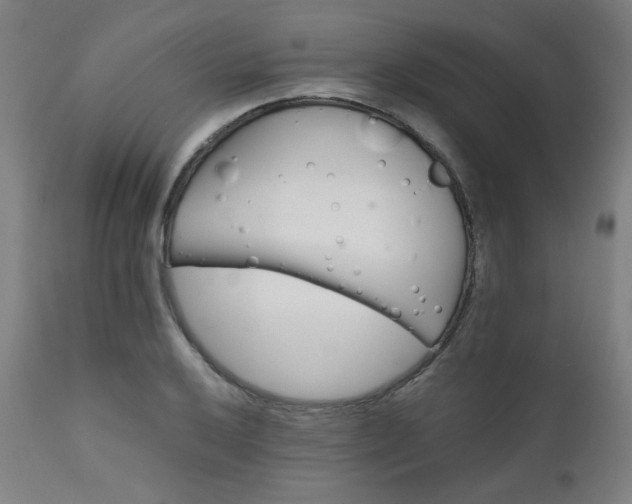 X0000111031032200906251300
