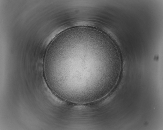 X0000111031033200906251300