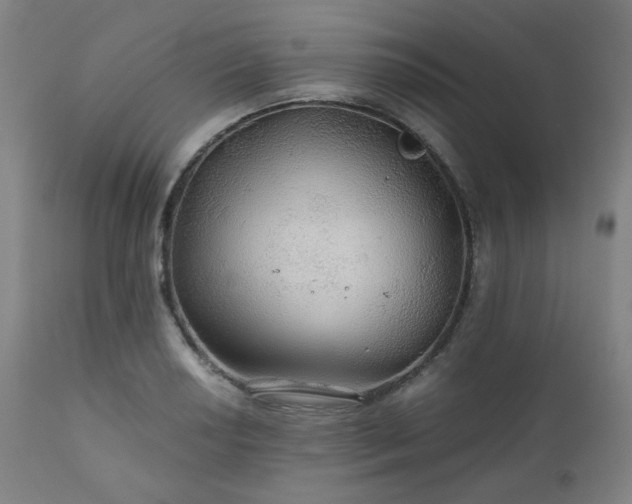 X0000111031034200906251300