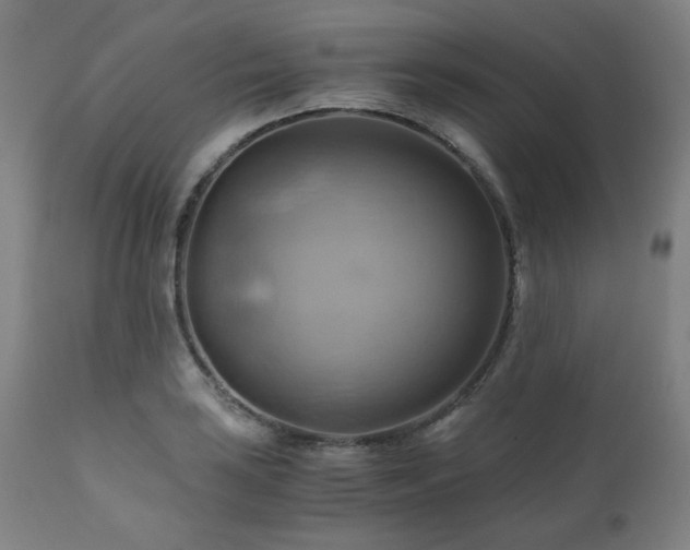 X0000111031035200906251300