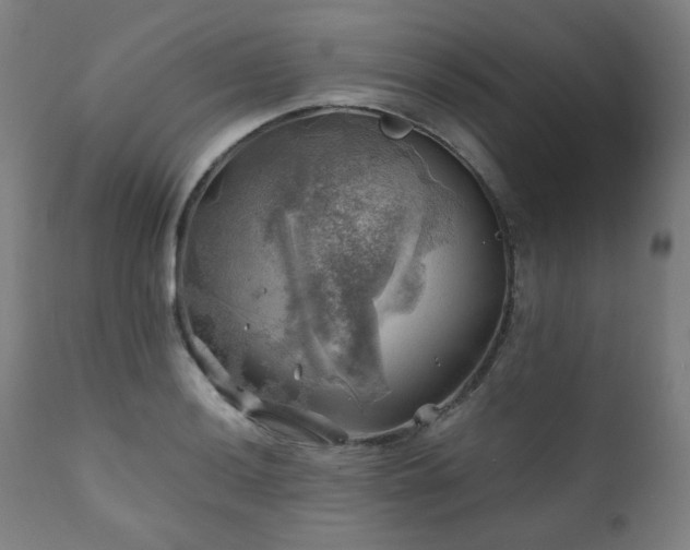 X0000111031036200906251300