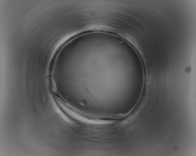 X0000111031037200906251300