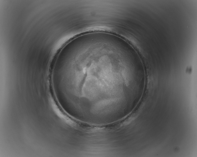 X0000111031038200906251300