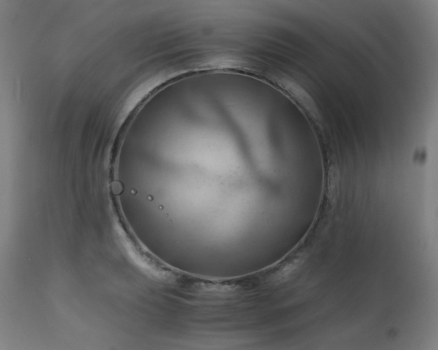 X0000111031039200906251300