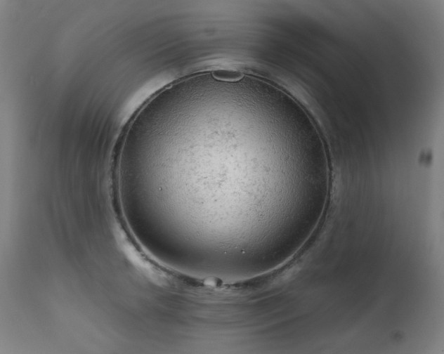 X0000111031042200906251300