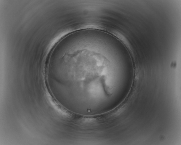 X0000111031043200906251300