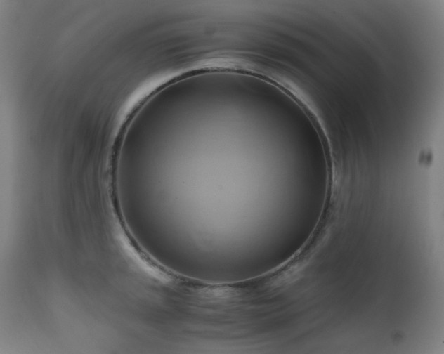 X0000111031045200906251300