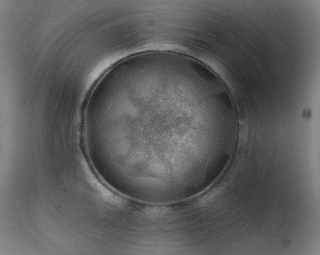X0000111031046200906251300