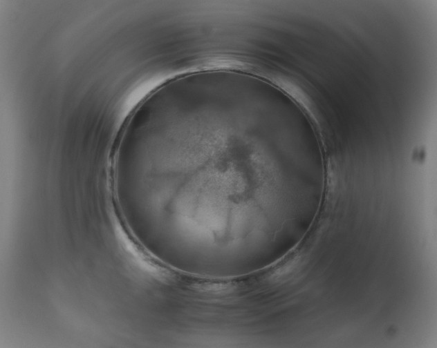 X0000111031047200906251300