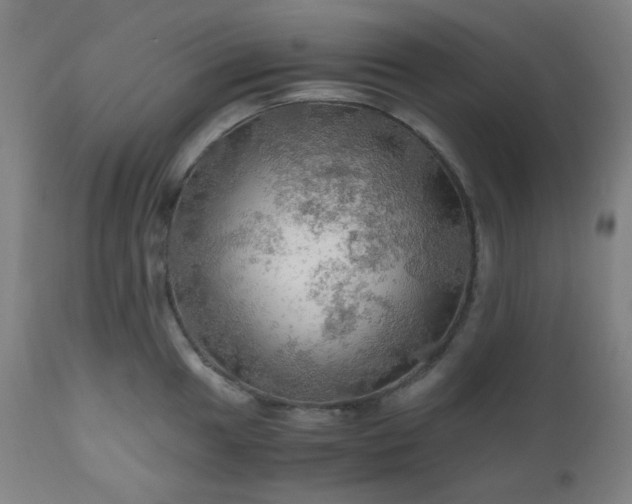 X0000111031049200906251300