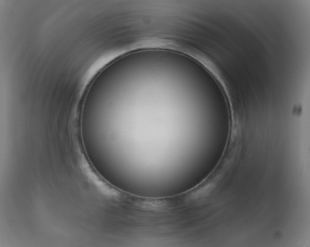 X0000111031053200906251300